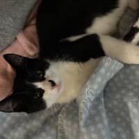 Photo of Bruce And Macey