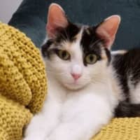 Photo of Matilda