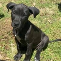 Photo of Passionfruit Bliss