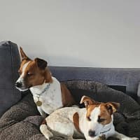 Photo of Arachide And Gelatina