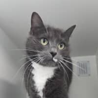 Photo of Amelie