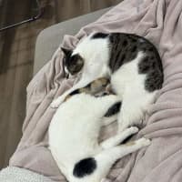 Photo of Yuki