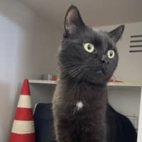 Photo of Hamish