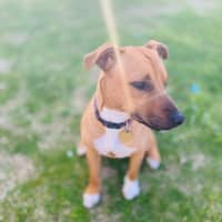 Photo of Rinleigh