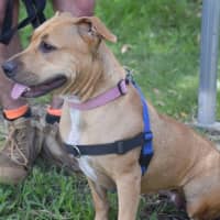 Photo of Lila