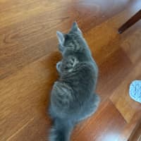 Photo of Londyn 😻💕💕😻