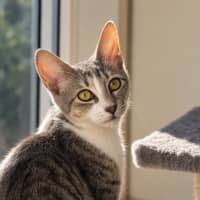 Photo of Janie