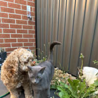 Photo of Nori & Nina