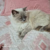 Photo of William 