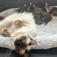 Photo of Athena