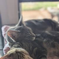 Photo of Trip