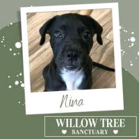 Photo of Nina