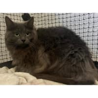 Photo of 9751   Spice