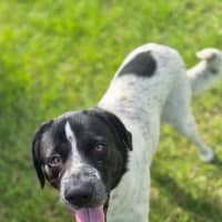 Photo of Lady Primrose (8981)