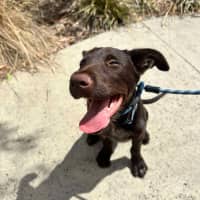 Photo of 🥯 Bagel 5769 🥯