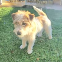 Photo of Darla (Jess)