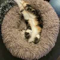 Photo of Wanda