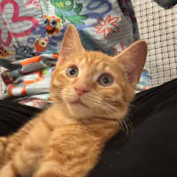 Photo of Tom   Meet Me 10/10 Info In Bio