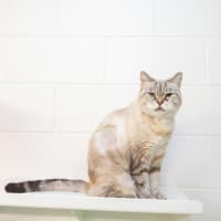Photo of Molly