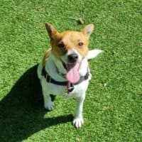Photo of Chunkie