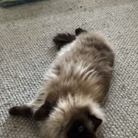 Photo of Kiki