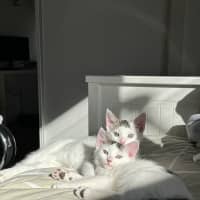 Photo of Bean And Biscuit