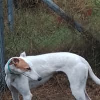 Photo of Meo