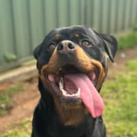 Photo of Max