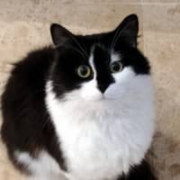 Photo of Kyle Rsta011628