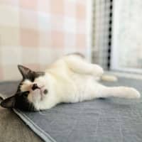 Photo of Bonnie   Located In Preston