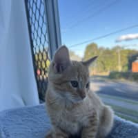 Photo of Theo