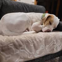 Photo of Mackalicious