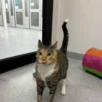 Photo of Cleopatra