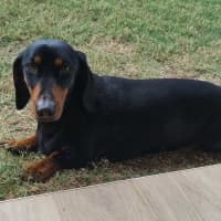 Photo of Donald (Donny)