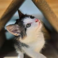 Photo of Milwaukee   In Foster Care In Northcote