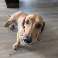 Photo of Bill And Ted