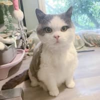 Photo of 🍑Jorgi🍑