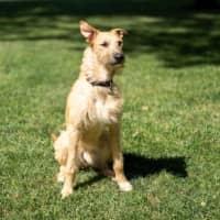 Photo of Rocky Gainsborough