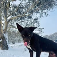 Photo of Milo Haliwell