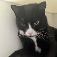 Photo of ⛳ Melvin 5886 ⛳