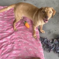Photo of Holly