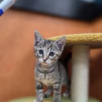 Photo of Lorelai