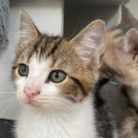 Photo of Berlin (9955)