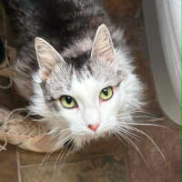 Photo of Mr Alto