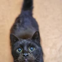 Photo of Sammy