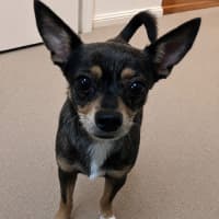 Photo of Charko