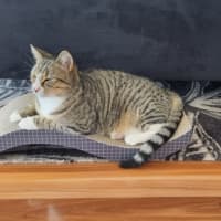 Photo of Gemma