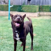 Photo of Max Brenner 🍫 