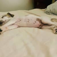 Photo of Marley Muddle