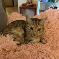 Photo of Arianna Quinnell